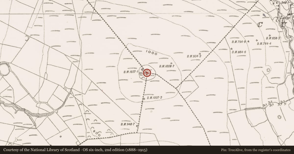 Ordnance Survey six-inch map, 2nd edition (1888–1915) covering the location of Hillfort, County Offaly, with a pin at the register's coordinates