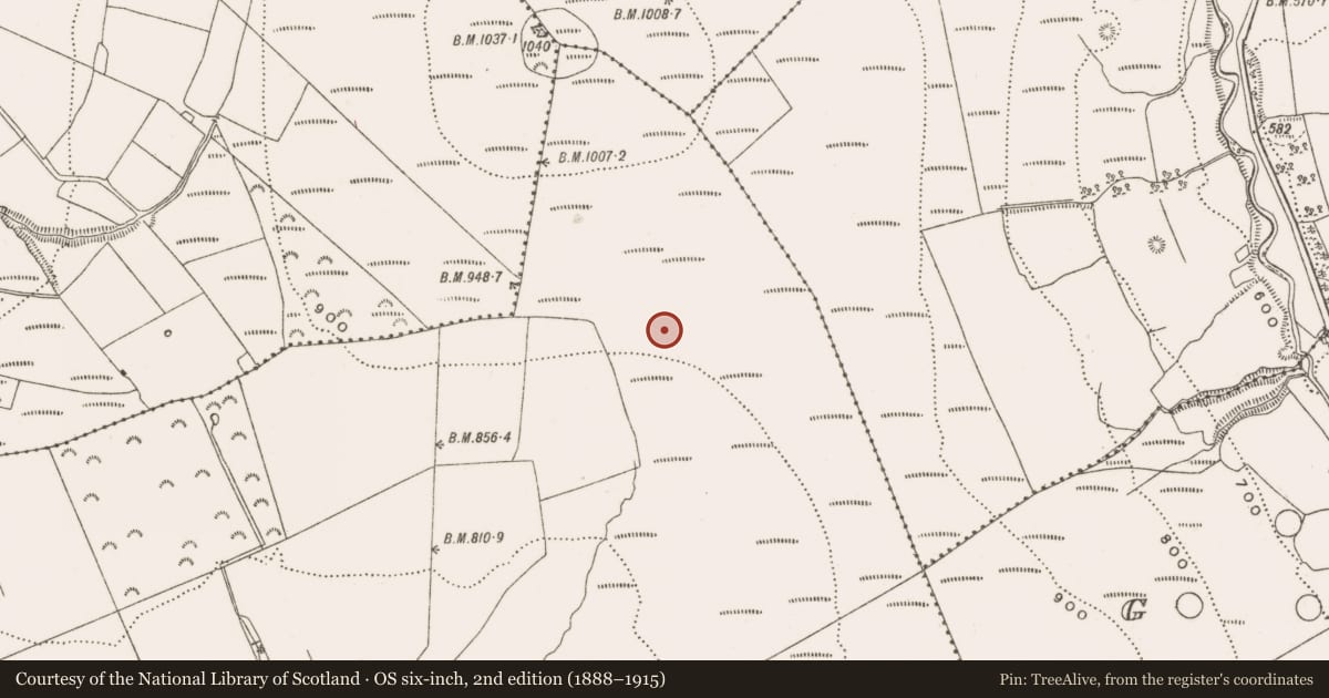 Ordnance Survey six-inch map, 2nd edition (1888–1915) covering the location of Enclosure, Ballymacmurragh, County Offaly, with a pin at the register's coordinates