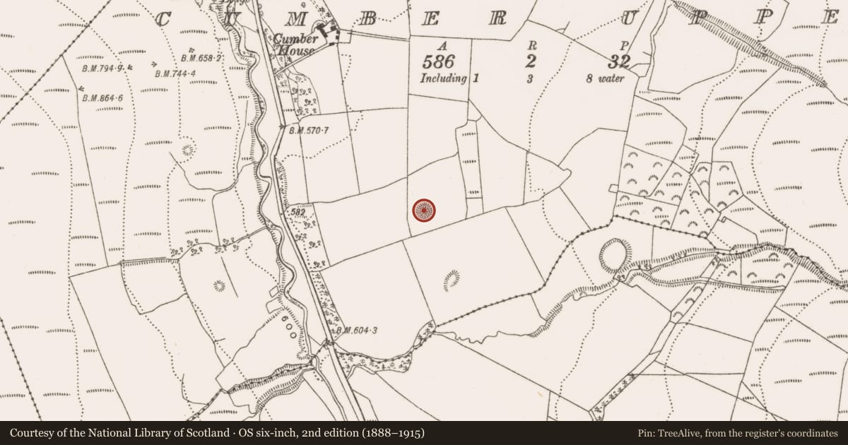 Ordnance Survey six-inch map, 2nd edition (1888–1915) covering the location of Barrow - ring-barrow, Cumber Upper, County Offaly, with a pin at the register's coordinates