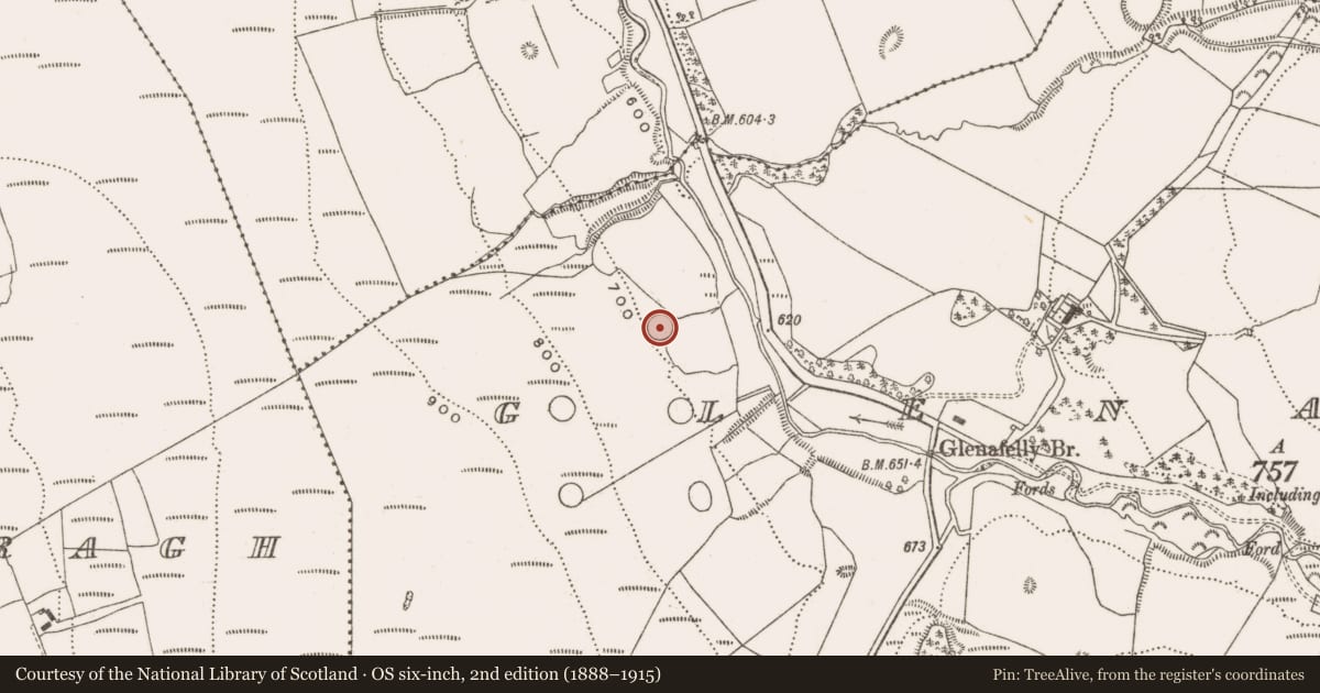 Ordnance Survey six-inch map, 2nd edition (1888–1915) covering the location of Enclosure, Glenafelly, County Offaly, with a pin at the register's coordinates