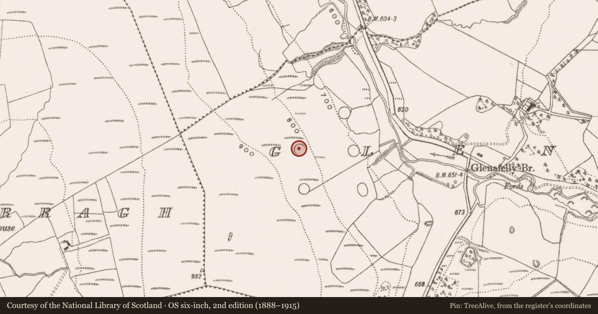 Ordnance Survey six-inch map, 2nd edition (1888–1915) covering the location of Enclosure, Glenafelly, County Offaly, with a pin at the register's coordinates