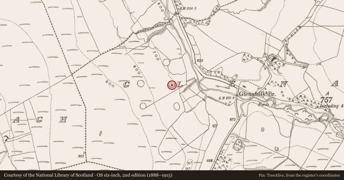 Ordnance Survey six-inch map, 2nd edition (1888–1915) covering the location of Enclosure, Glenafelly, County Offaly, with a pin at the register's coordinates