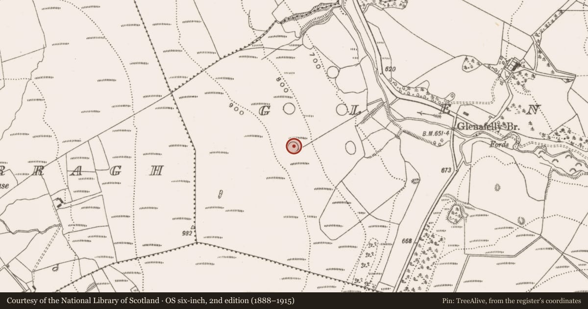 Ordnance Survey six-inch map, 2nd edition (1888–1915) covering the location of Enclosure, Glenafelly, County Offaly, with a pin at the register's coordinates