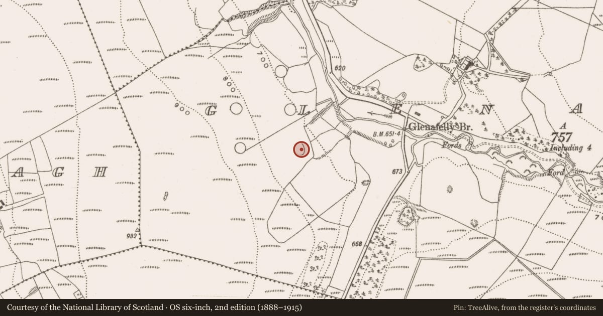 Ordnance Survey six-inch map, 2nd edition (1888–1915) covering the location of Enclosure, Glenafelly, County Offaly, with a pin at the register's coordinates