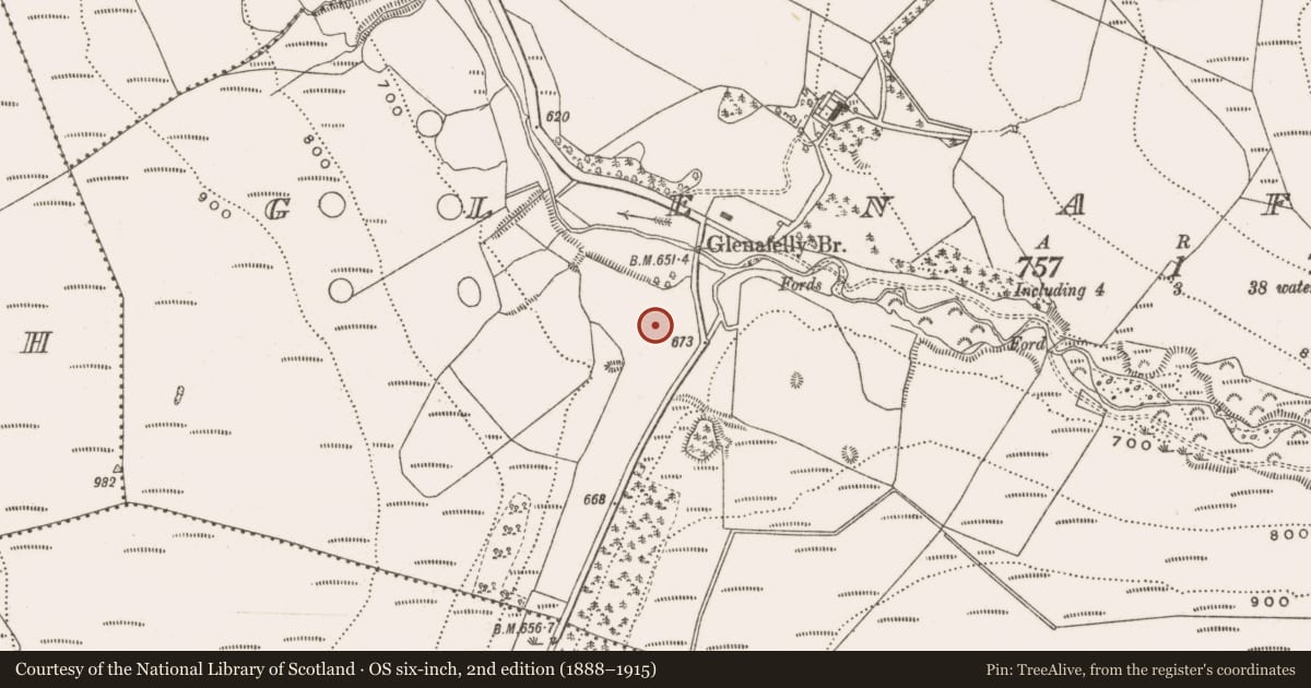 Ordnance Survey six-inch map, 2nd edition (1888–1915) covering the location of Standing stone, Glenafelly, County Offaly, with a pin at the register's coordinates