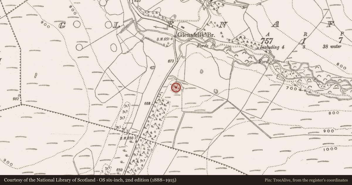 Ordnance Survey six-inch map, 2nd edition (1888–1915) covering the location of Ringfort - rath, Glenafelly, County Offaly, with a pin at the register's coordinates