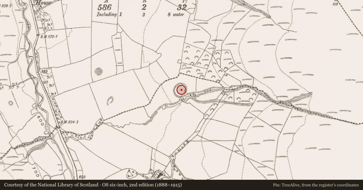 Ordnance Survey six-inch map, 2nd edition (1888–1915) covering the location of Enclosure, Glenafelly, County Offaly, with a pin at the register's coordinates