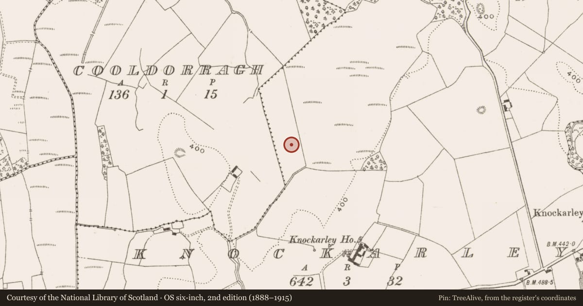 Ordnance Survey six-inch map, 2nd edition (1888–1915) covering the location of Enclosure, Knockarley, County Offaly, with a pin at the register's coordinates