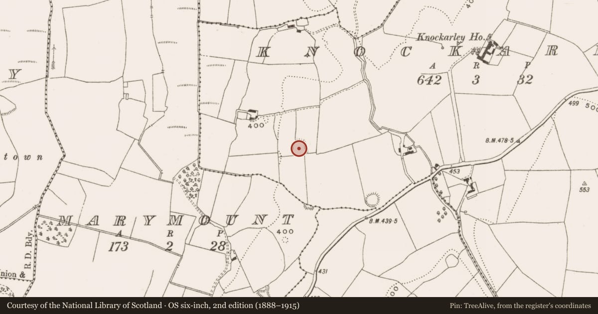 Ordnance Survey six-inch map, 2nd edition (1888–1915) covering the location of Enclosure, Knockarley, County Offaly, with a pin at the register's coordinates