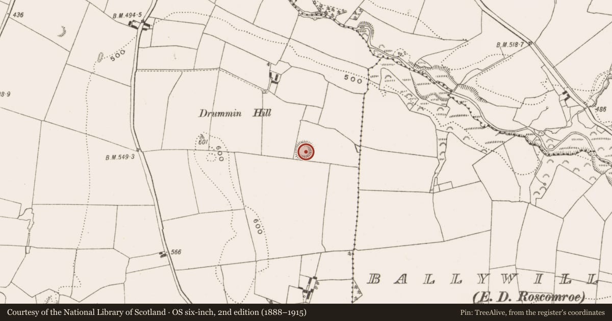 Ordnance Survey six-inch map, 2nd edition (1888–1915) covering the location of Ringfort - rath, Newtown, County Offaly, with a pin at the register's coordinates