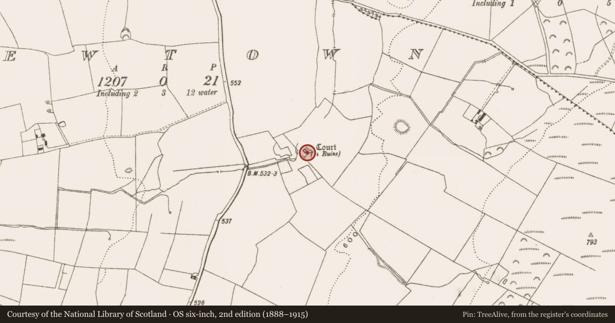 Ordnance Survey six-inch map, 2nd edition (1888–1915) covering the location of House - fortified house, Newtown, County Offaly, with a pin at the register's coordinates