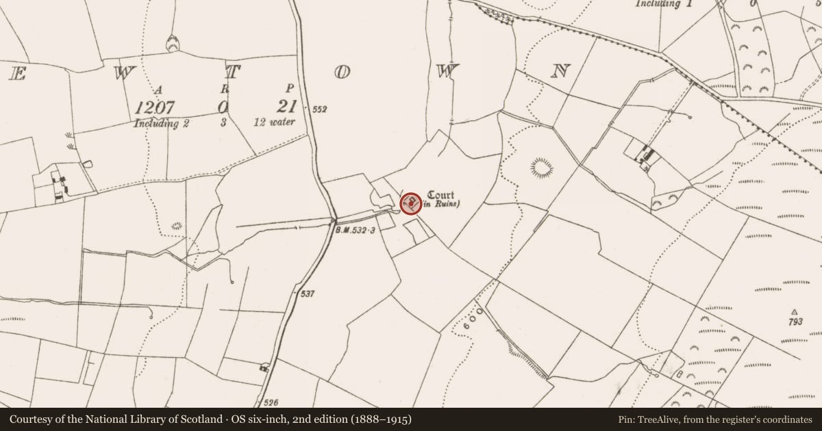 Ordnance Survey six-inch map, 2nd edition (1888–1915) covering the location of Sheela-na-gig, Newtown, County Offaly, with a pin at the register's coordinates