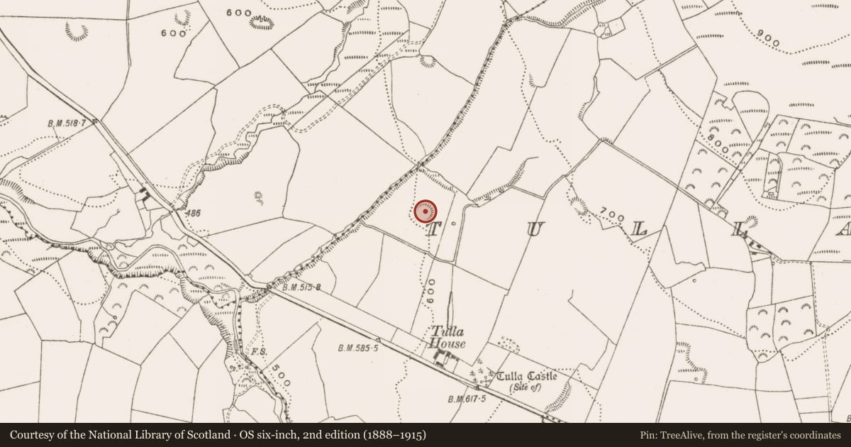 Ordnance Survey six-inch map, 2nd edition (1888–1915) covering the location of Enclosure, Tulla And Crumlin, County Offaly, with a pin at the register's coordinates