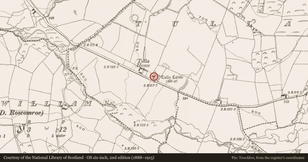 Ordnance Survey six-inch map, 2nd edition (1888–1915) covering the location of Castle - unclassified, Tulla And Crumlin, County Offaly, with a pin at the register's coordinates