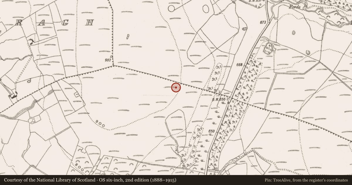 Ordnance Survey six-inch map, 2nd edition (1888–1915) covering the location of Barrow - ring-barrow, Tulla And Crumlin, County Offaly, with a pin at the register's coordinates