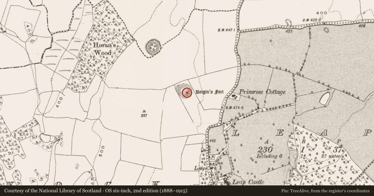 Ordnance Survey six-inch map, 2nd edition (1888–1915) covering the location of Ringfort - rath, Knock, County Offaly, with a pin at the register's coordinates