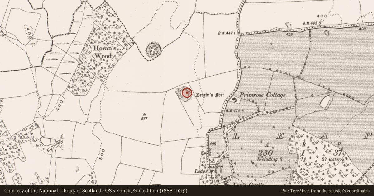 Ordnance Survey six-inch map, 2nd edition (1888–1915) covering the location of Castle - tower house, Knock, County Offaly, with a pin at the register's coordinates