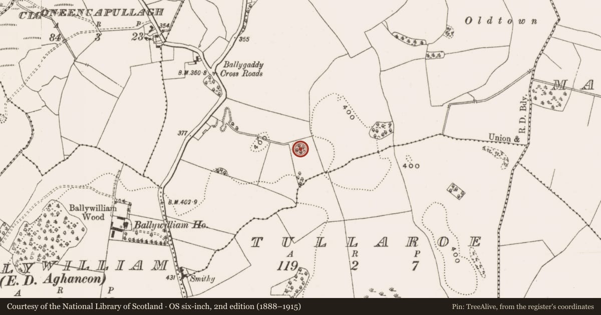 Ordnance Survey six-inch map, 2nd edition (1888–1915) covering the location of Ringfort - rath, Ballygaddy, County Offaly, with a pin at the register's coordinates