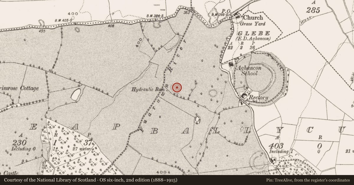 Ordnance Survey six-inch map, 2nd edition (1888–1915) covering the location of Ringfort - rath, Ballycurragh, County Offaly, with a pin at the register's coordinates