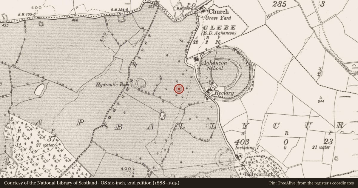 Ordnance Survey six-inch map, 2nd edition (1888–1915) covering the location of Earthwork, Ballycurragh, County Offaly, with a pin at the register's coordinates