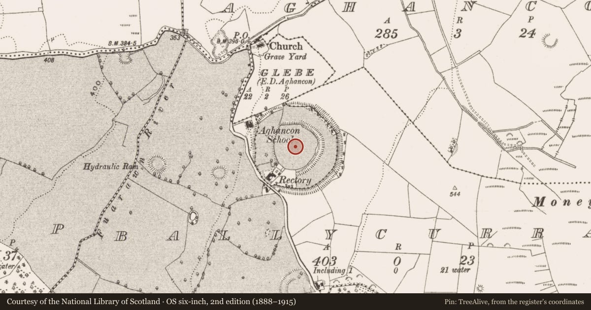 Ordnance Survey six-inch map, 2nd edition (1888–1915) covering the location of Hillfort, Ballycurragh, Glebe, County Offaly, with a pin at the register's coordinates