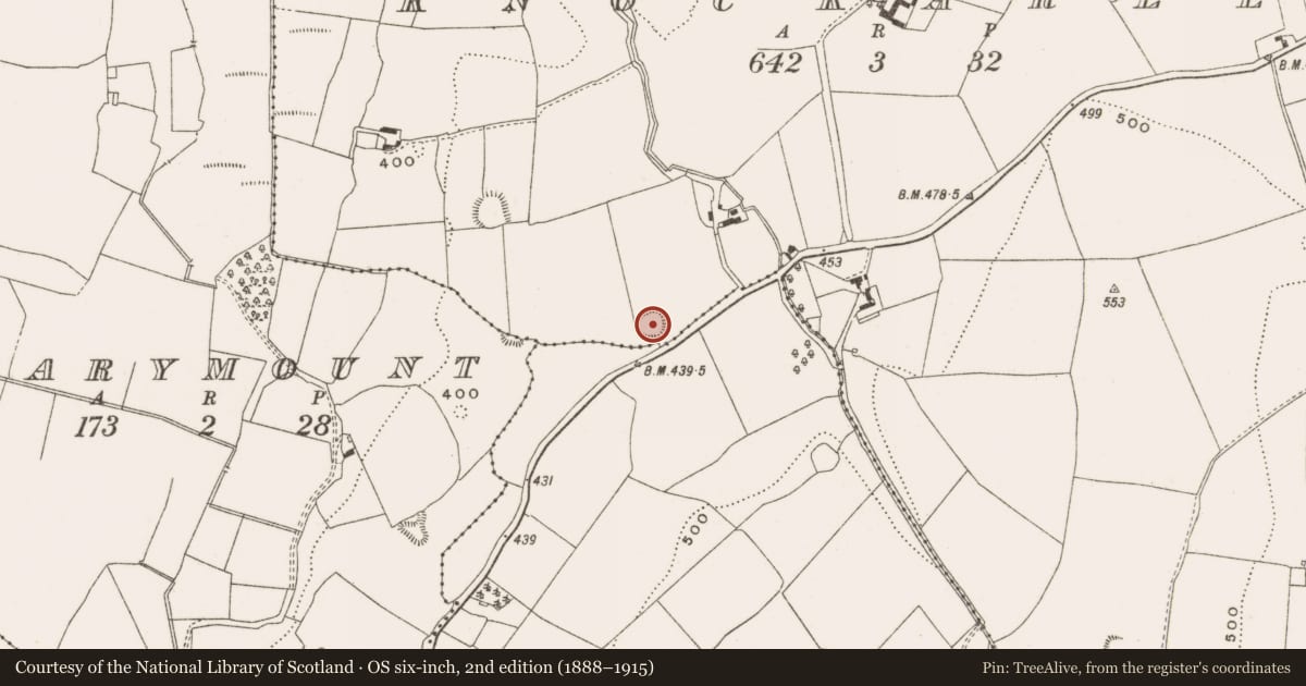 Ordnance Survey six-inch map, 2nd edition (1888–1915) covering the location of Ringfort - rath, Knockarley, County Offaly, with a pin at the register's coordinates