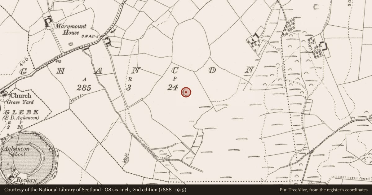 Ordnance Survey six-inch map, 2nd edition (1888–1915) covering the location of Enclosure, Aghancon, County Offaly, with a pin at the register's coordinates
