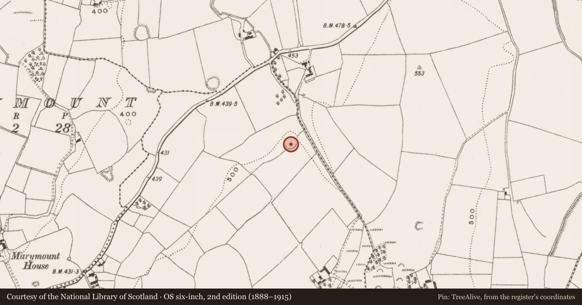 Ordnance Survey six-inch map, 2nd edition (1888–1915) covering the location of Ringfort - rath, Aghancon, County Offaly, with a pin at the register's coordinates