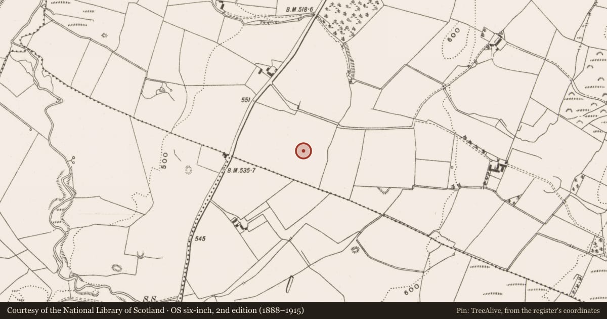 Ordnance Survey six-inch map, 2nd edition (1888–1915) covering the location of Enclosure, Newtown, County Offaly, with a pin at the register's coordinates