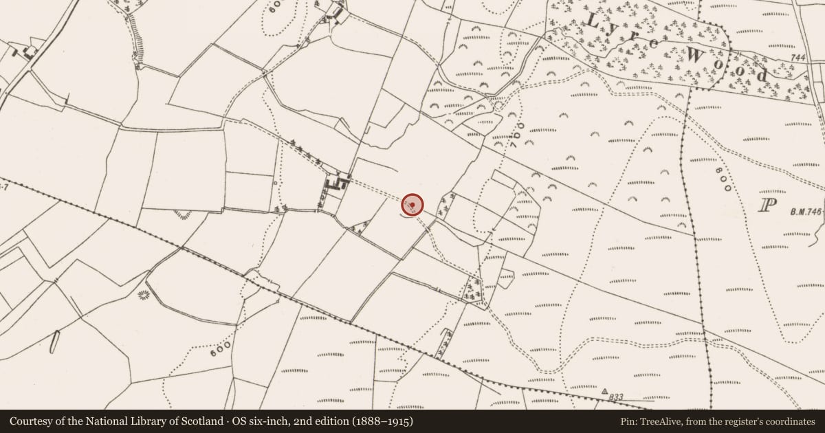 Ordnance Survey six-inch map, 2nd edition (1888–1915) covering the location of Enclosure, Newtown, County Offaly, with a pin at the register's coordinates