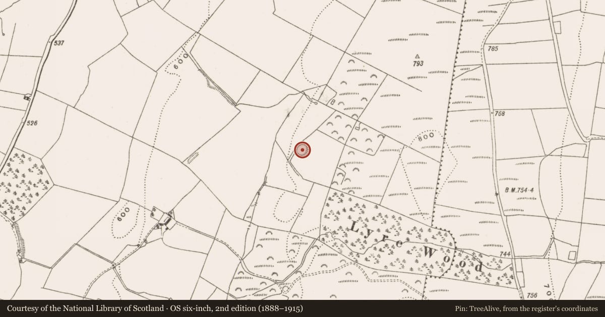 Ordnance Survey six-inch map, 2nd edition (1888–1915) covering the location of Enclosure, Newtown, County Offaly, with a pin at the register's coordinates
