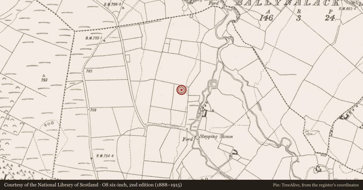 Ordnance Survey six-inch map, 2nd edition (1888–1915) covering the location of Enclosure, Pollduff, County Offaly, with a pin at the register's coordinates