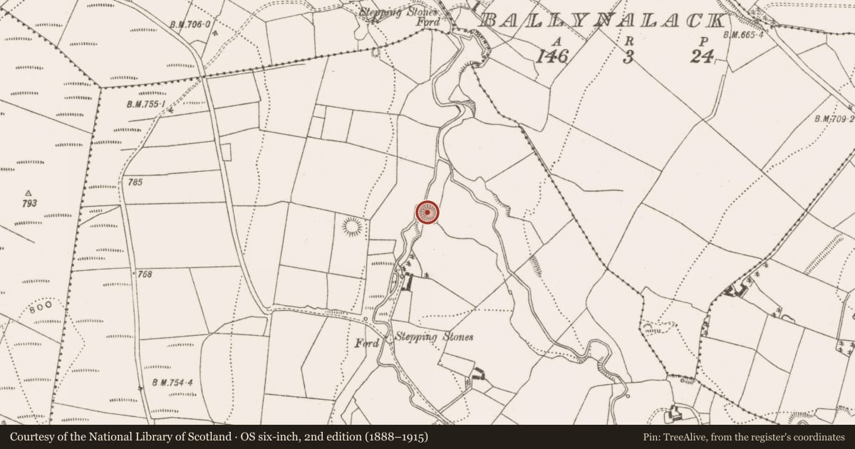 Ordnance Survey six-inch map, 2nd edition (1888–1915) covering the location of Ringfort - rath, Pollduff, County Offaly, with a pin at the register's coordinates