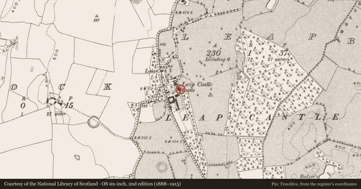 Ordnance Survey six-inch map, 2nd edition (1888–1915) covering the location of Castle - tower house, Leap, County Offaly, with a pin at the register's coordinates