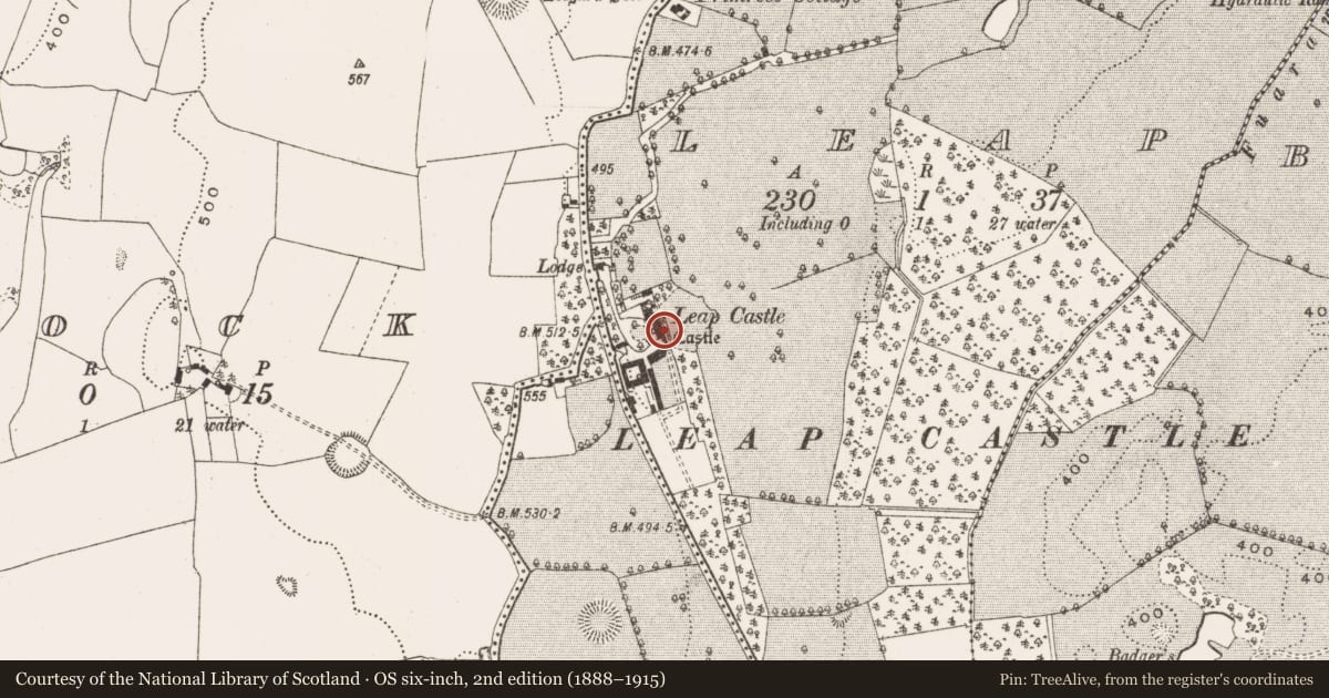 Ordnance Survey six-inch map, 2nd edition (1888–1915) covering the location of Bawn, Leap, County Offaly, with a pin at the register's coordinates