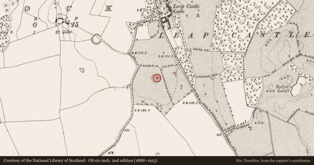 Ordnance Survey six-inch map, 2nd edition (1888–1915) covering the location of Enclosure, Killeen, County Offaly, with a pin at the register's coordinates