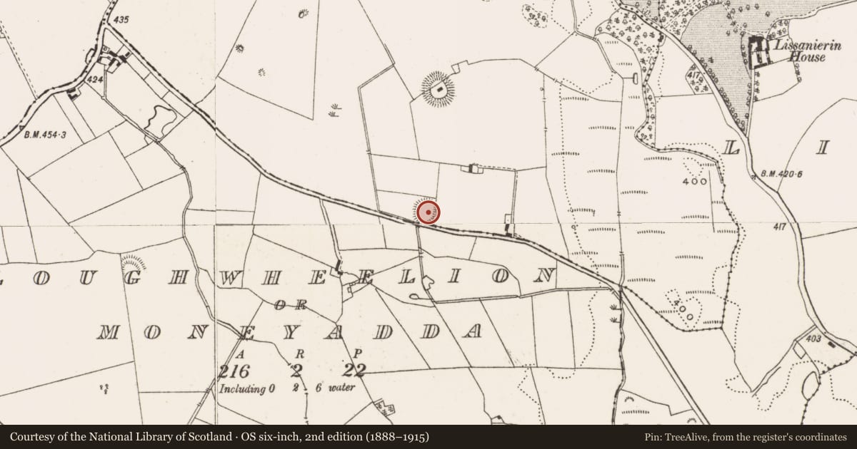 Ordnance Survey six-inch map, 2nd edition (1888–1915) covering the location of Enclosure, Killeen, County Offaly, with a pin at the register's coordinates