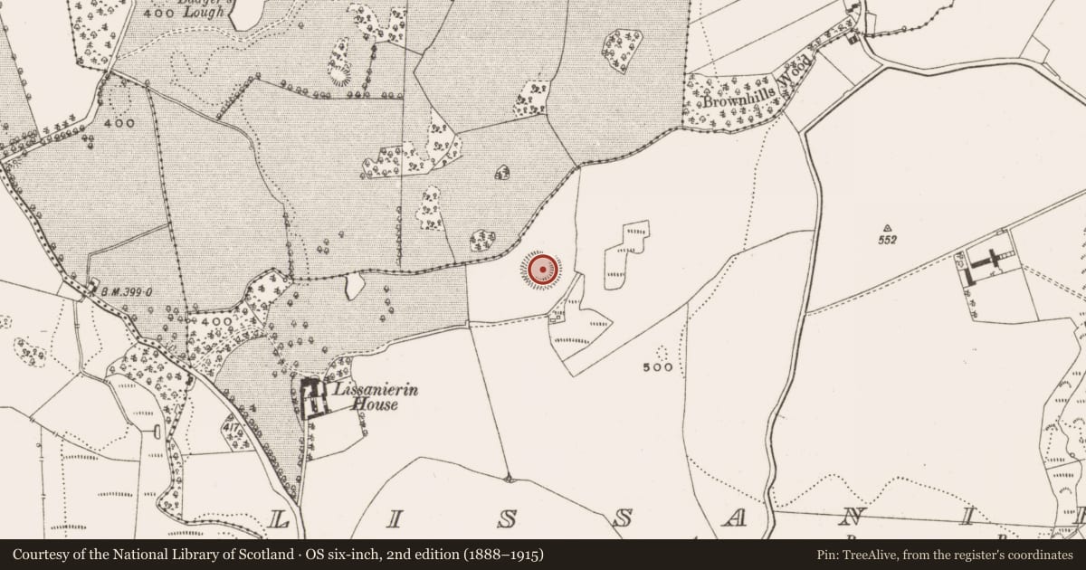 Ordnance Survey six-inch map, 2nd edition (1888–1915) covering the location of Enclosure, Lissanierin, County Offaly, with a pin at the register's coordinates