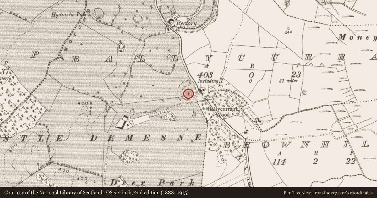 Ordnance Survey six-inch map, 2nd edition (1888–1915) covering the location of Ringfort - rath, Ballycurragh, County Offaly, with a pin at the register's coordinates