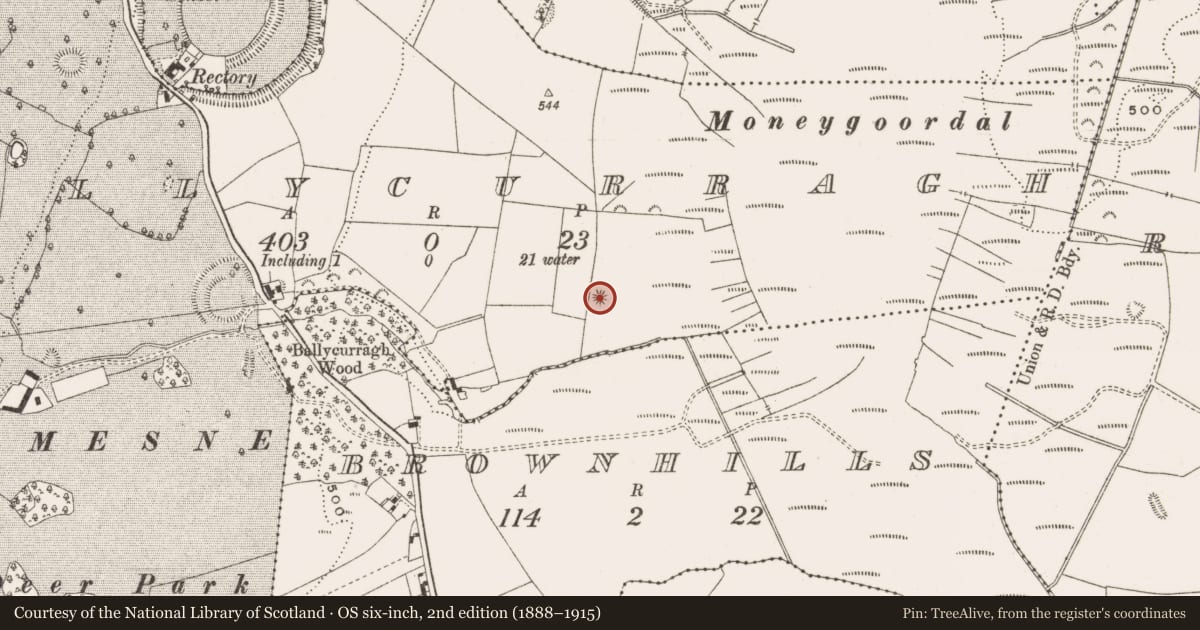 Ordnance Survey six-inch map, 2nd edition (1888–1915) covering the location of Barrow - ring-barrow, Ballycurragh, County Offaly, with a pin at the register's coordinates