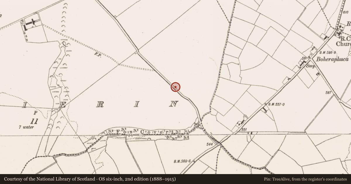 Ordnance Survey six-inch map, 2nd edition (1888–1915) covering the location of Enclosure, Lissanierin, County Offaly, with a pin at the register's coordinates