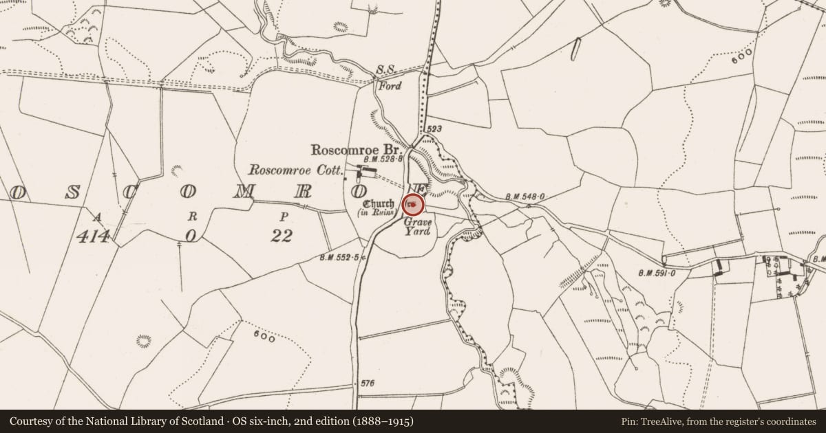 Ordnance Survey six-inch map, 2nd edition (1888–1915) covering the location of Graveyard, Roscomroe, County Offaly, with a pin at the register's coordinates