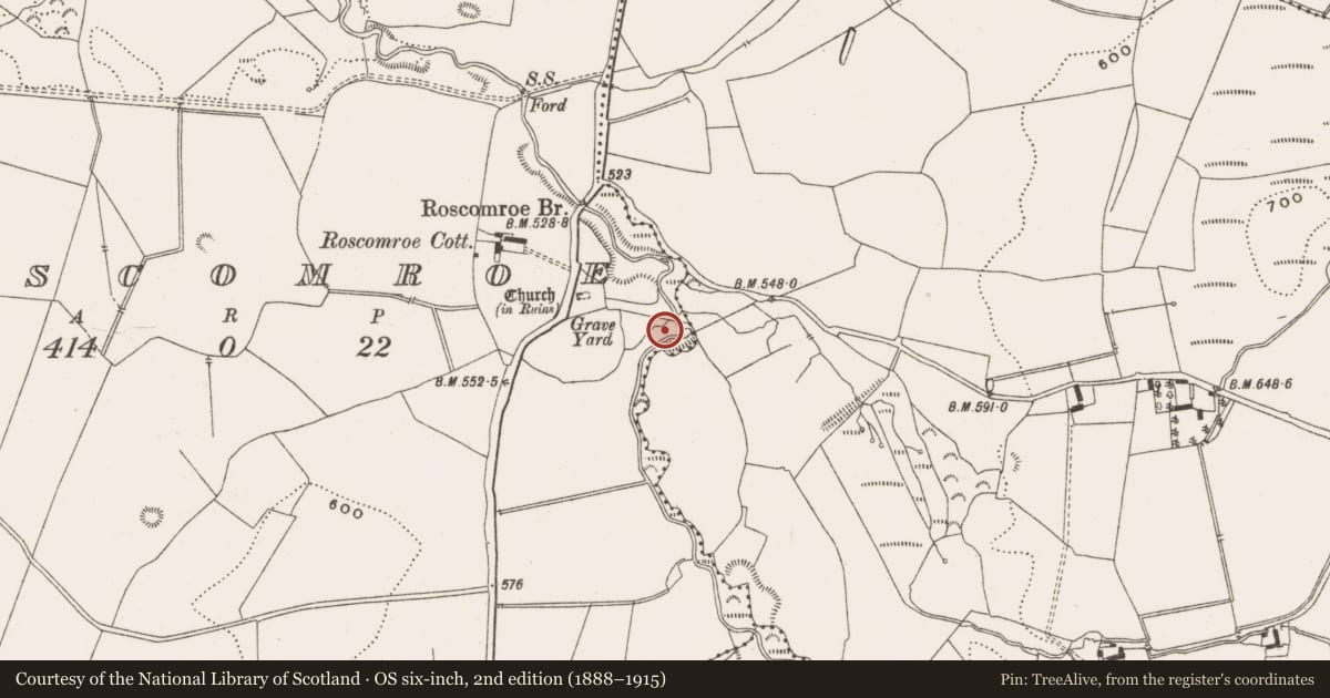 Ordnance Survey six-inch map, 2nd edition (1888–1915) covering the location of Standing stone, Roscomroe, County Offaly, with a pin at the register's coordinates