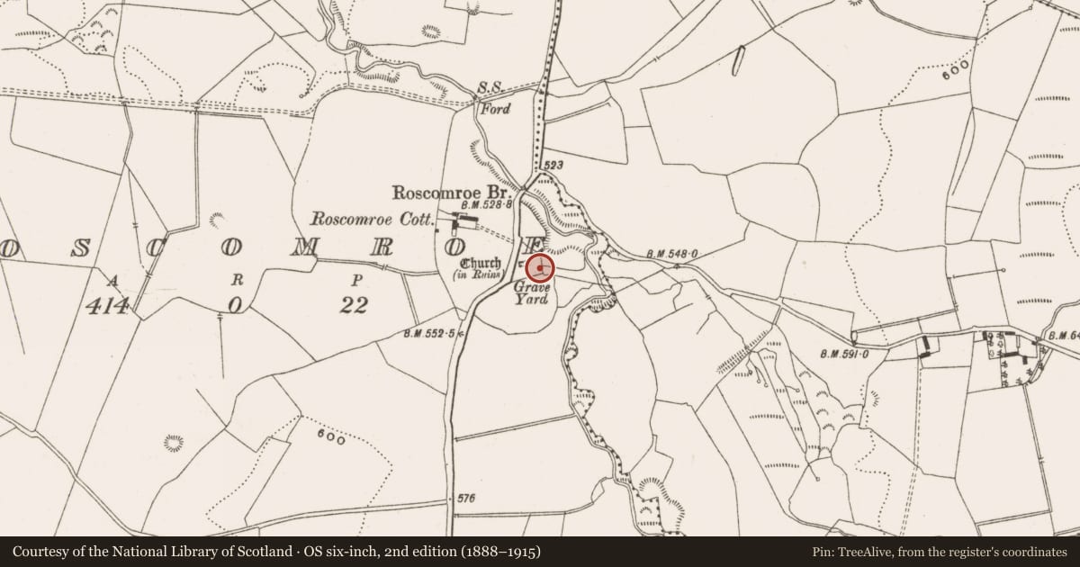 Ordnance Survey six-inch map, 2nd edition (1888–1915) covering the location of Architectural fragment, Roscomroe, County Offaly, with a pin at the register's coordinates