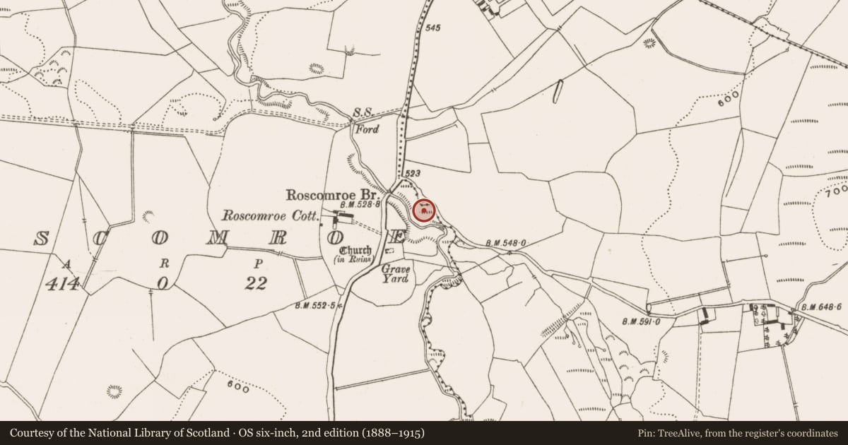 Ordnance Survey six-inch map, 2nd edition (1888–1915) covering the location of Mill - unclassified, Roscomroe, County Offaly, with a pin at the register's coordinates