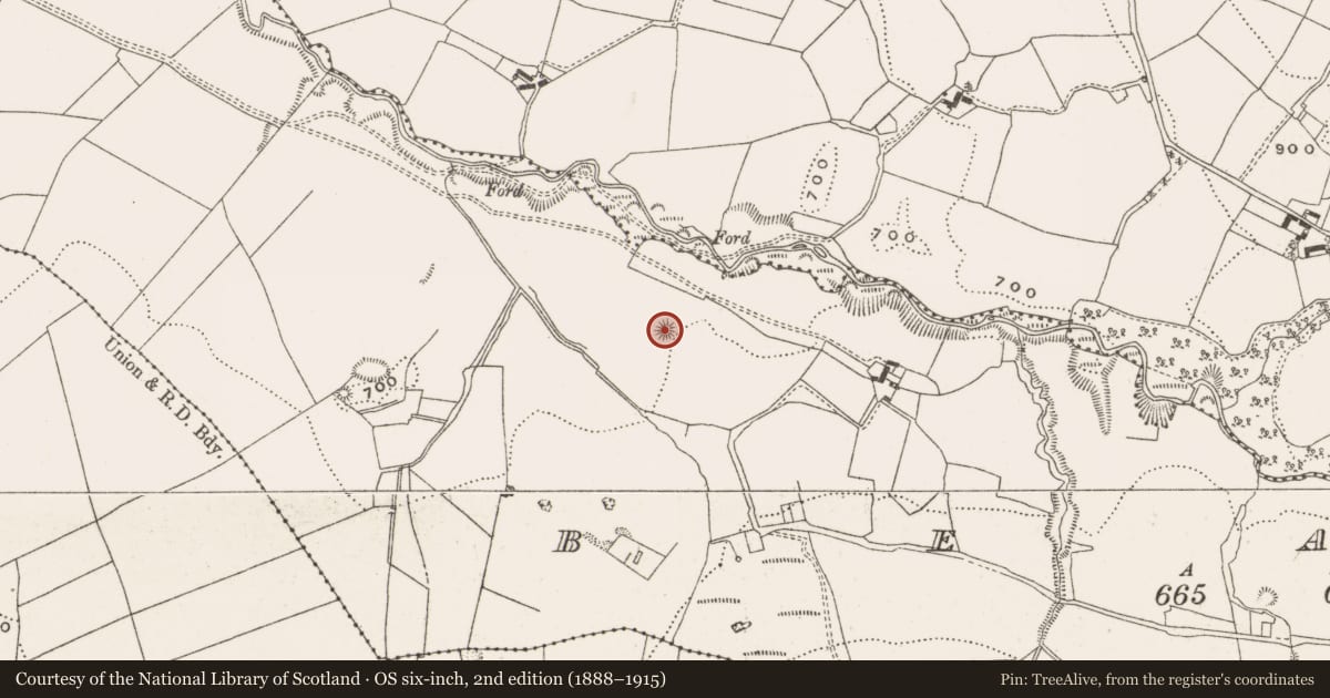 Ordnance Survey six-inch map, 2nd edition (1888–1915) covering the location of Burial mound, Beagh, County Offaly, with a pin at the register's coordinates