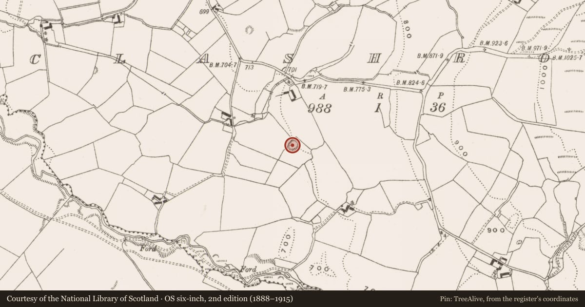 Ordnance Survey six-inch map, 2nd edition (1888–1915) covering the location of Ringfort - rath, Clashroe, County Offaly, with a pin at the register's coordinates