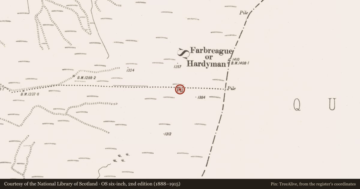 Ordnance Survey six-inch map, 2nd edition (1888–1915) covering the location of Cairn - unclassified, Pollduff, County Offaly, with a pin at the register's coordinates