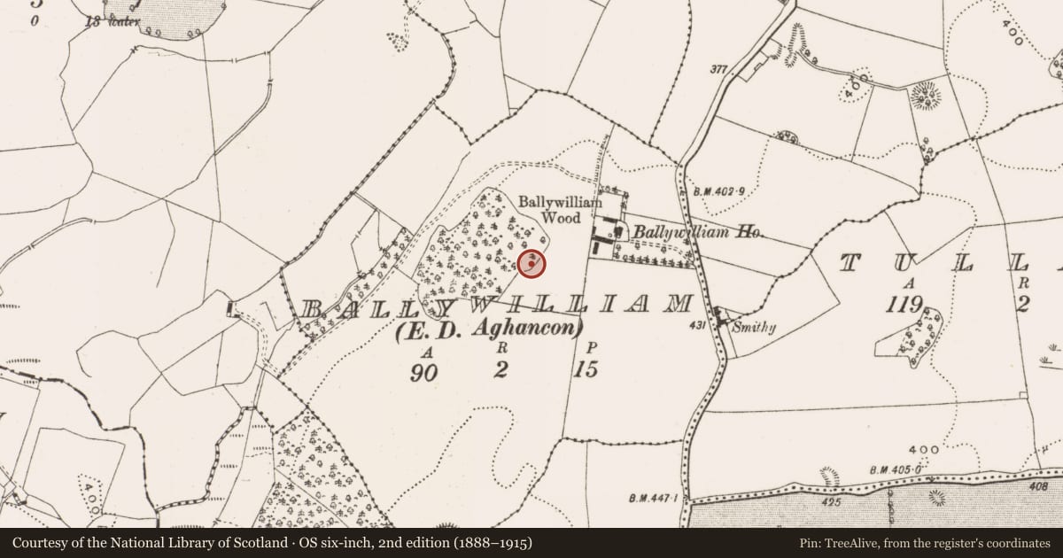 Ordnance Survey six-inch map, 2nd edition (1888–1915) covering the location of Megalithic tomb - unclassified, Ballywilliam, County Offaly, with a pin at the register's coordinates