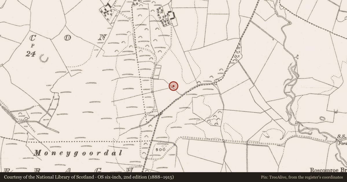 Ordnance Survey six-inch map, 2nd edition (1888–1915) covering the location of Fulacht fia, Knockarley, County Offaly, with a pin at the register's coordinates